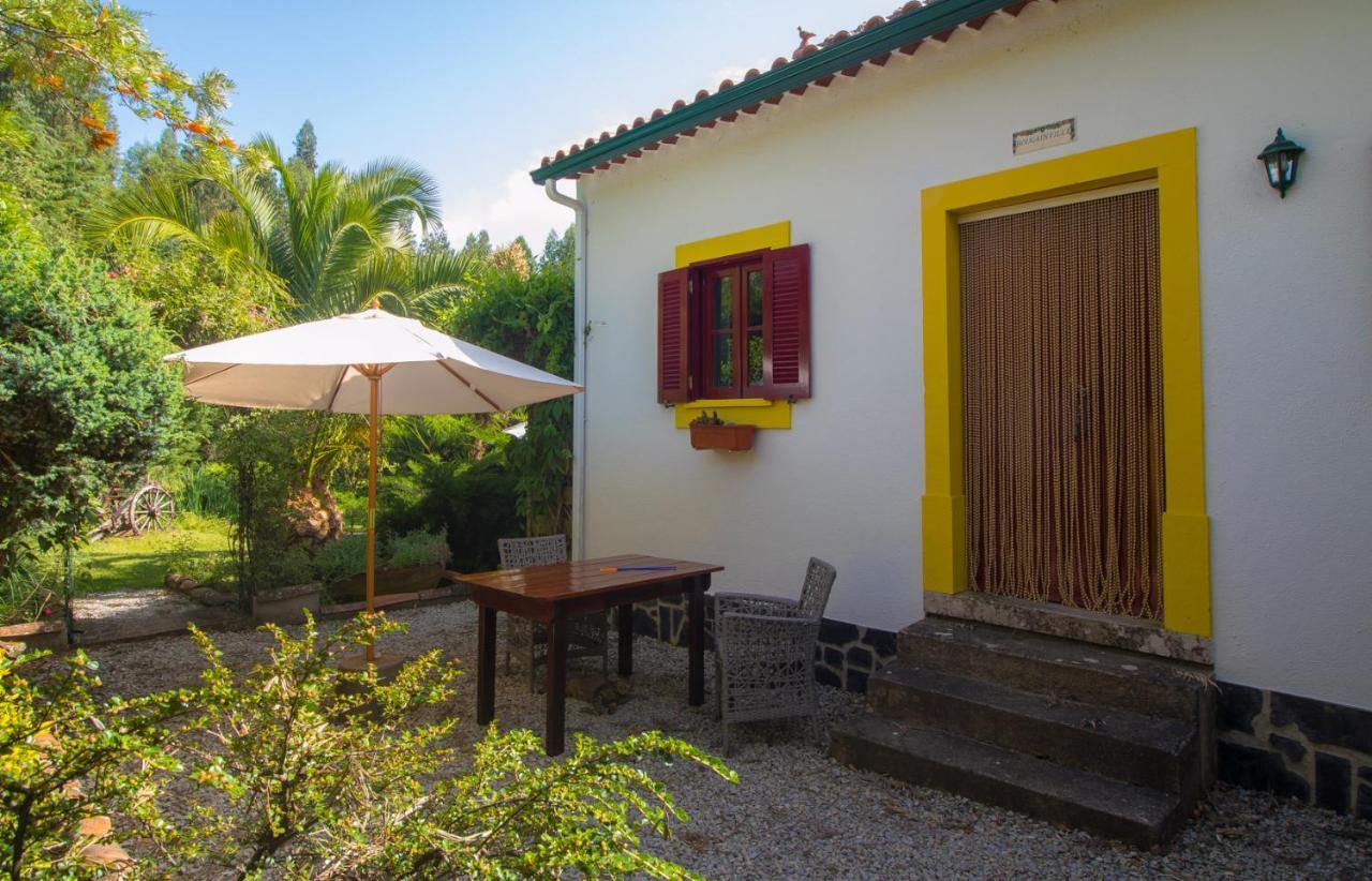Quinta Flores Ferreira do Zêzere Extérieur photo